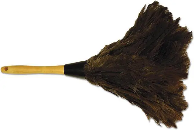 Main image of Boardwalk UNS14FD Professional Ostrich Feather Duster, Gray, 14 Inch , Wood Handle
