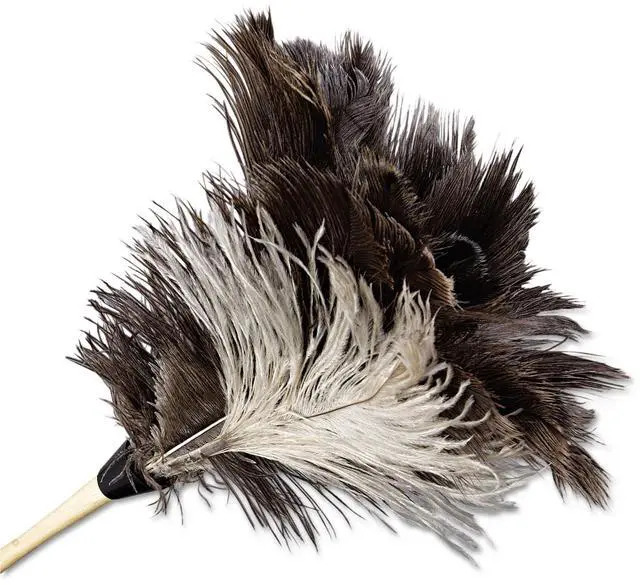 Main image of Boardwalk Professional Ostrich Feather Duster 7" Handle 13FD