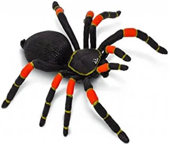 Alt view image 4 of 5 - Orange-Kneed Tarantula