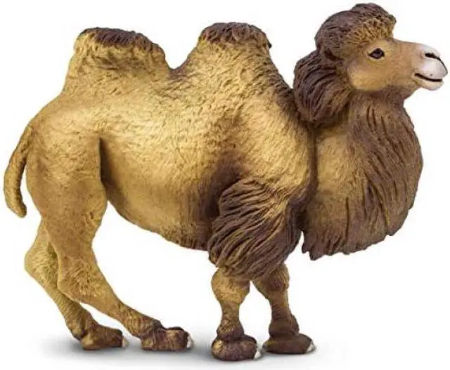 Alt view image 6 of 7 - Bactrian Camel Wildlife Figure Safari Ltd