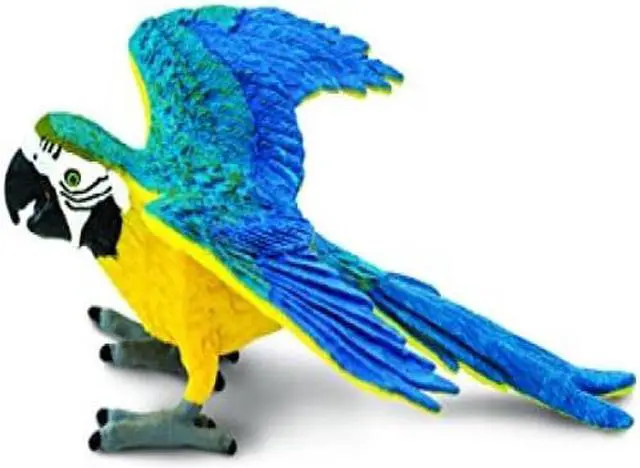 Alt view image 4 of 6 - Safari Blue & Gold Macaw