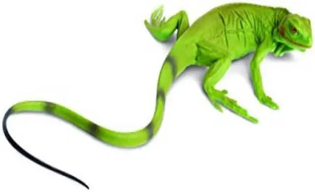 Alt view image 7 of 8 - Safari Incredible Creatures - Iguana Baby