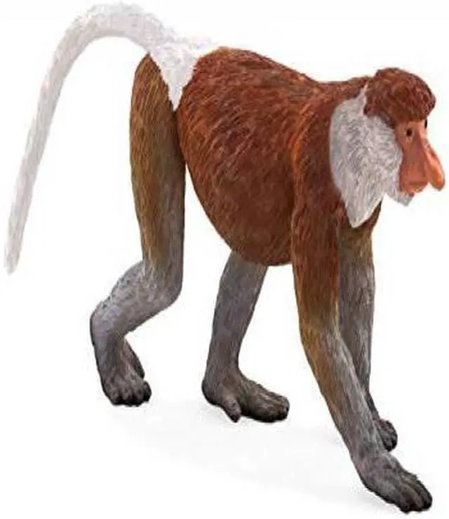 Alt view image 2 of 2 - mojo proboscis monkey toy figure