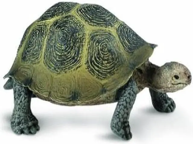 Alt view image 3 of 6 - Safari: Desert Toroise