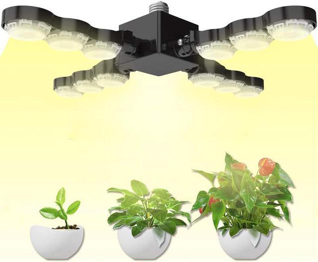 SANSI 60W Daylight Full Spectrum LED Grow Light Bulb, Foldable Sunlike LED  Grow Light for Indoor Plants, Plant Light for Hydroponic Greenhouses,  Houseplants, Vegetable Tobacco, Sunlight White E26 