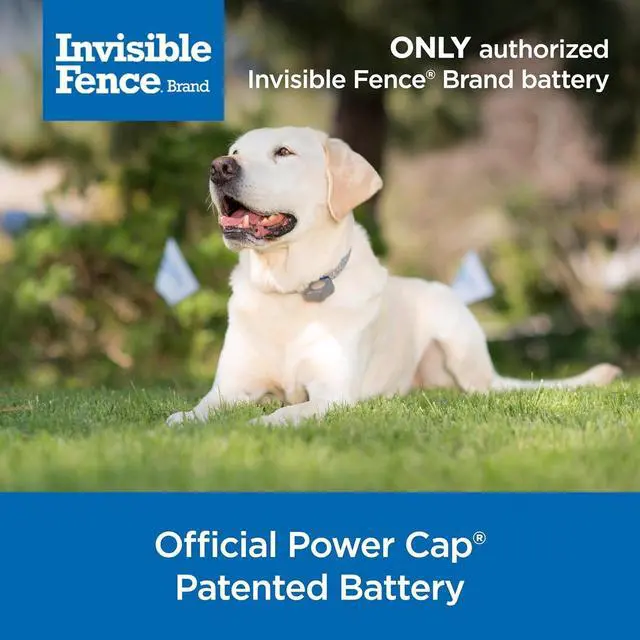 Alt view image 2 of 6 - Invisible Fence Power Cap Battery - Original IFB Electric Fence Battery Replacement for Dog Collars - Long-Lasting - 1 Pack