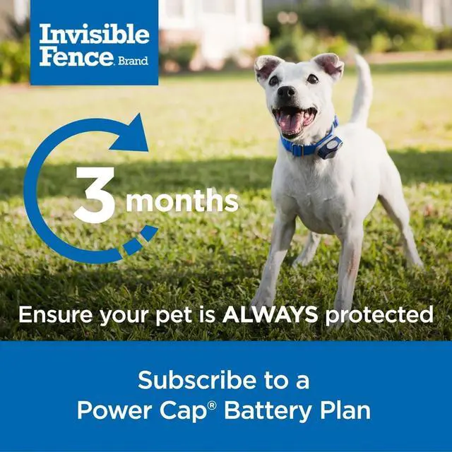 Alt view image 5 of 6 - Invisible Fence Power Cap Battery - Original IFB Electric Fence Battery Replacement for Dog Collars - Long-Lasting - 1 Pack