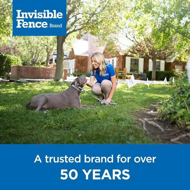 Alt view image 6 of 6 - Invisible Fence Power Cap Battery - Original IFB Electric Fence Battery Replacement for Dog Collars - Long-Lasting - 2pack