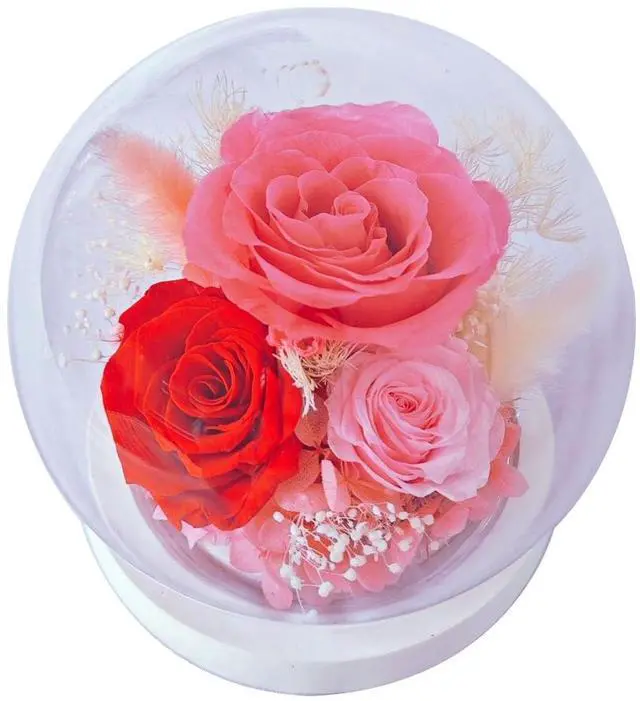 Main image of Preserved Flowers in Glass Dome Romantic Ornament Long-Lasting Real Flower Gift for Valentine s Day Christmas Mother Birthday and Special