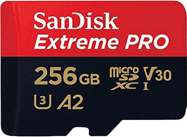 SanDisk SDSQXCZ-256G-GN6MA DJT 256GB 8p MSDXC r170MB