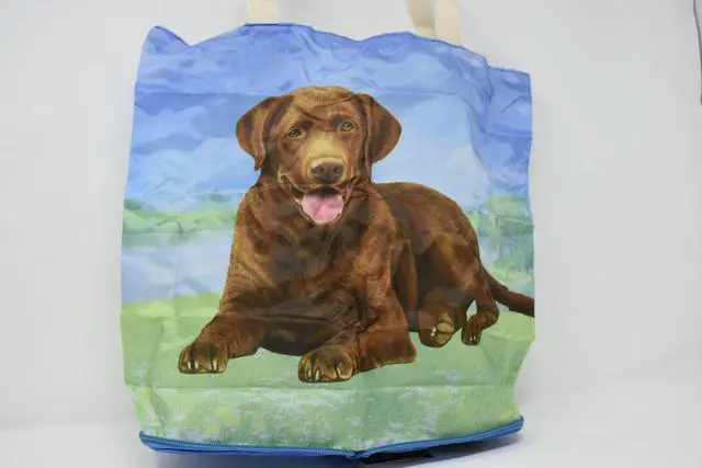Alt view image 2 of 2 - Chocolate Labrador Foldable Tote Bag - Waterproof - Zippered Market Tote
