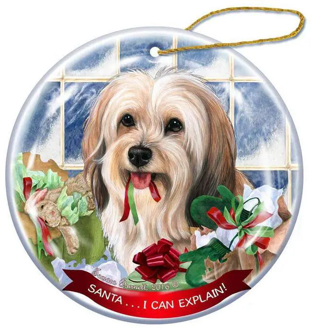 Main image of Cream Tibetan Terrier Dog Porcelain Ornament Pet Gift 'Santa.. I Can Explain!'