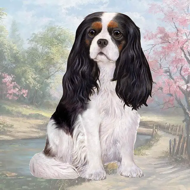 Main image of Cavalier King Charles Tri-Color (Sitting) Tabletop Drink Coaster (1)