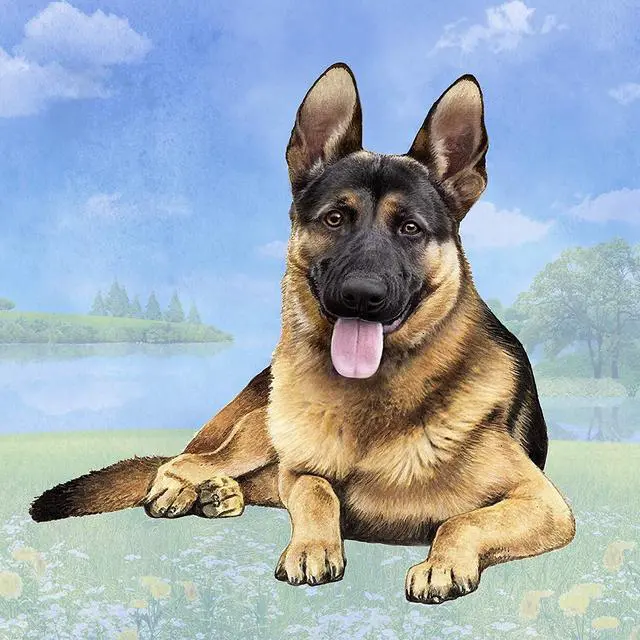 Main image of German Shepherd (Black & Tan) Tabletop Drink Coaster (1)