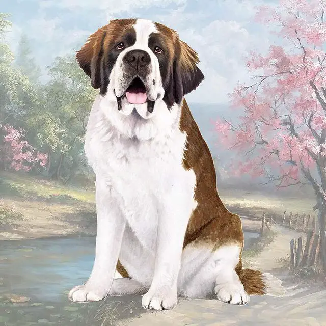 Main image of St. Bernard Tabletop Drink Coaster (1)