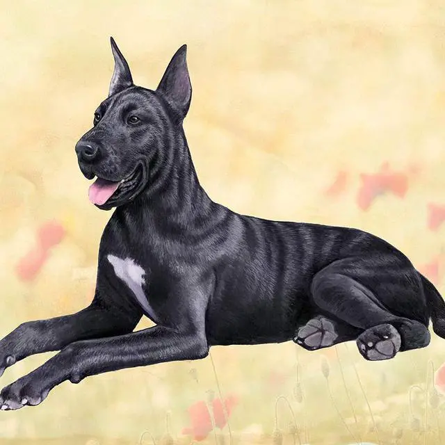 Main image of Great Dane (Black) Tabletop Drink Coaster (1)
