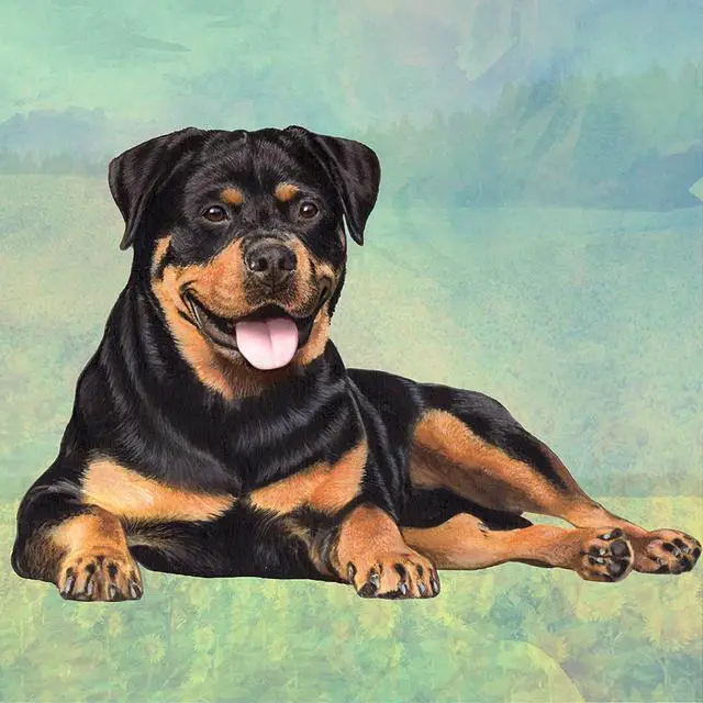 Main image of Rottweiler Tabletop Drink Coaster (1)