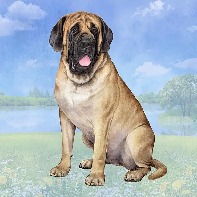 Main image of Mastiff Tabletop Drink Coaster (1)