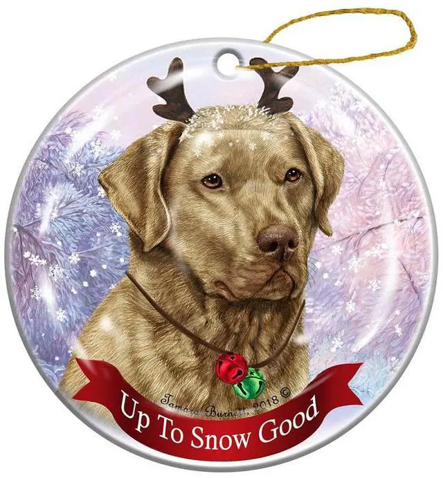 Main image of Dead Grass Chesapeake Bay Retriever Reindeer Dog Porcelain Christmas Ornament
