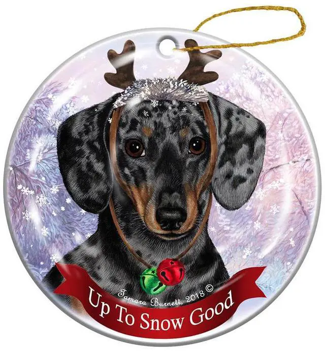 Main image of Holiday Pet Gifts Dachshund SH Dapple Light Dog Porcelain Christmas Ornament