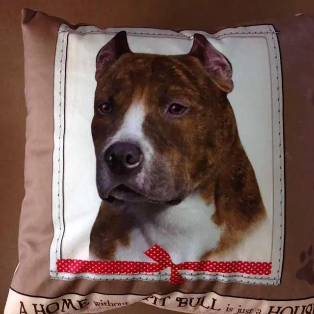 Main image of E&S Pets Large Dog Design Throw Pillow 16 x 16 inches - Pit Bull Terrier