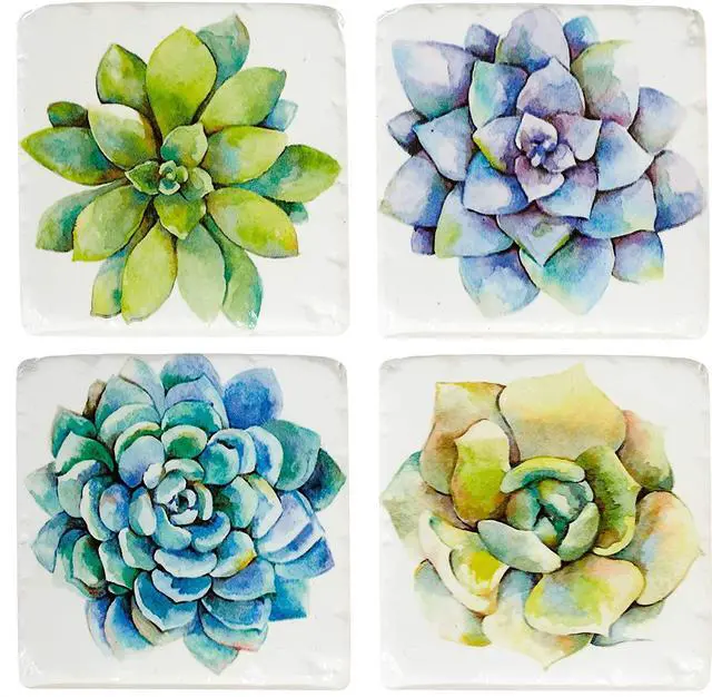 Main image of Midwest-CBK Succulent Plants Cactus Drink Coasters Set of 4, Resin