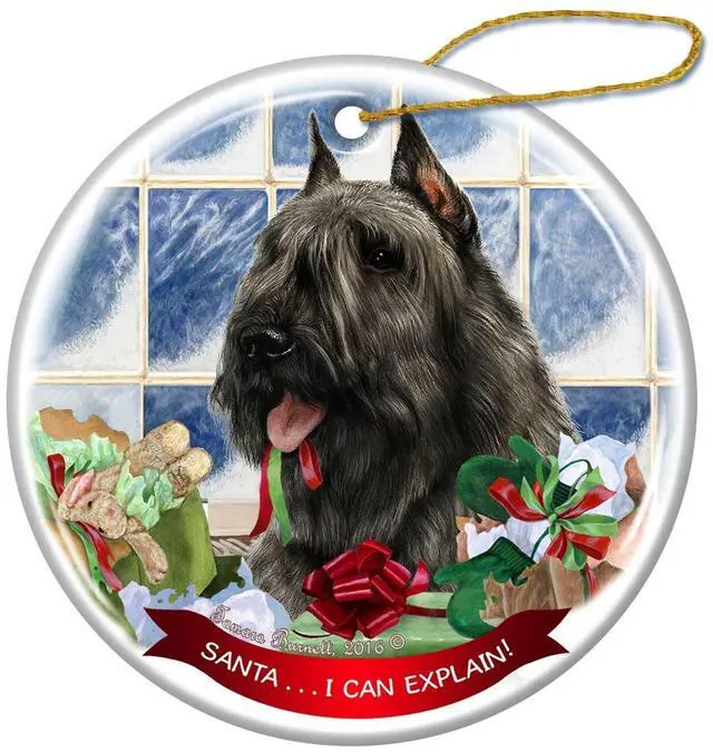 Main image of Grey Bouvier Dog Porcelain Hanging Ornament Pet Gift Santa I Can Explain!