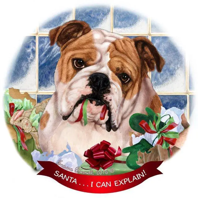 Main image of English Bulldog, Tan & White Dog Porcelain Ornament Santa I Can Explain!