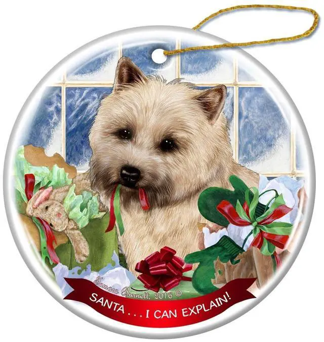 Main image of Cream Cairn Terrier Dog Porcelain Ornament Pet Gift Santa I Can Explain!