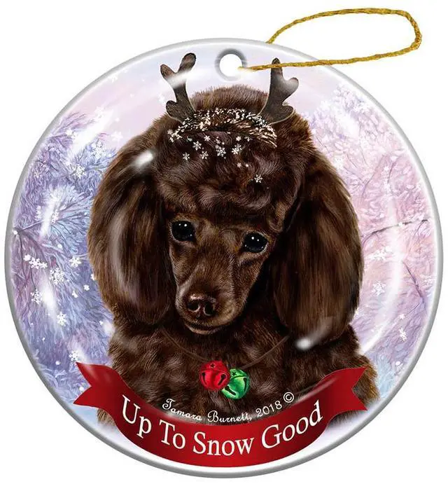 Main image of Holiday Pet Gifts Poodle Chocolate Dog Porcelain Christmas Ornament