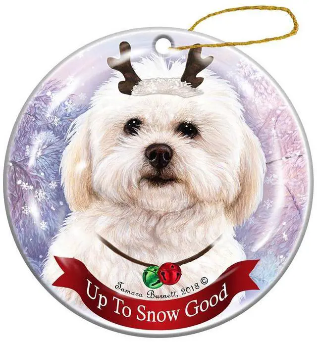 Main image of Holiday Pet Gifts Shihpoo Dog Porcelain Christmas Ornament