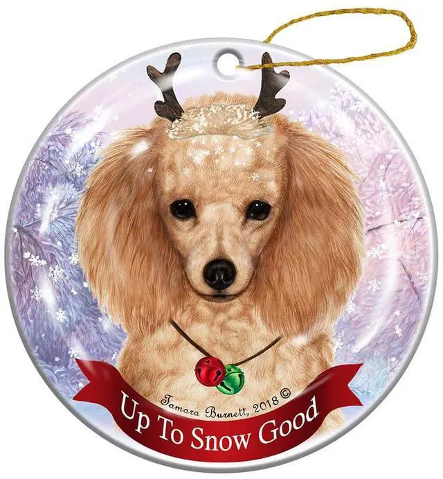Main image of Holiday Pet Gifts Apricot Poodle Dog Porcelain Christmas Ornament