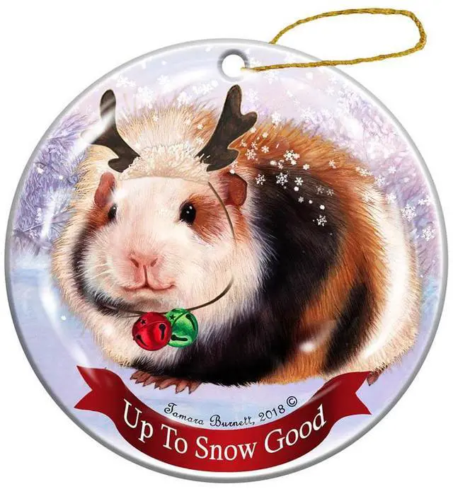 Main image of Holiday Pet Gifts Guinea Pig Teddy Porcelain Christmas Ornament