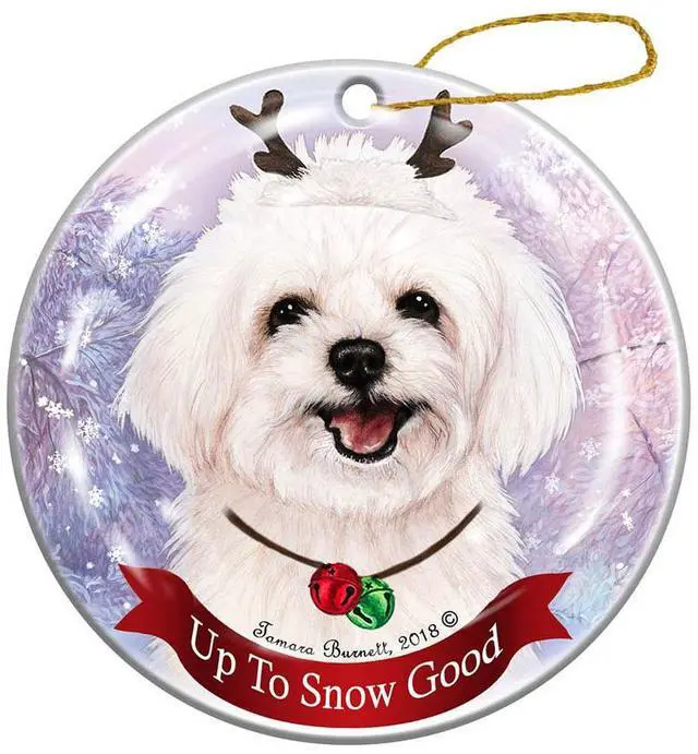 Main image of Holiday Pet Gifts Maltipoo Reindeer Dog Porcelain Christmas Ornament