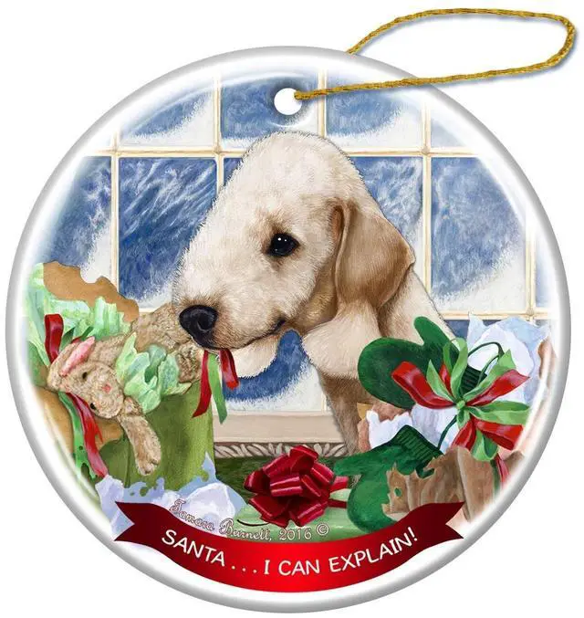 Main image of Bedlington Terrier Sandy Dog Porcelain Ornament Pet Santa I Can Explain!
