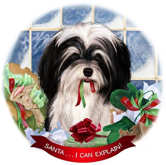 Main image of Havanese, Black & White Dog Porcelain Ornament Pet Gift 'Santa.. I Can Explain!