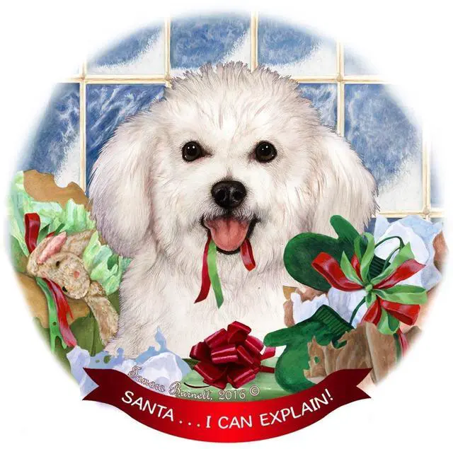 Main image of Bichon Frise Dog Porcelain Hanging Ornament Pet Gift Santa I Can Explain!