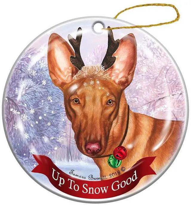 Main image of Holiday Pet Gifts Pharaoh Hound Dog Reindeer Porcelain Ornament