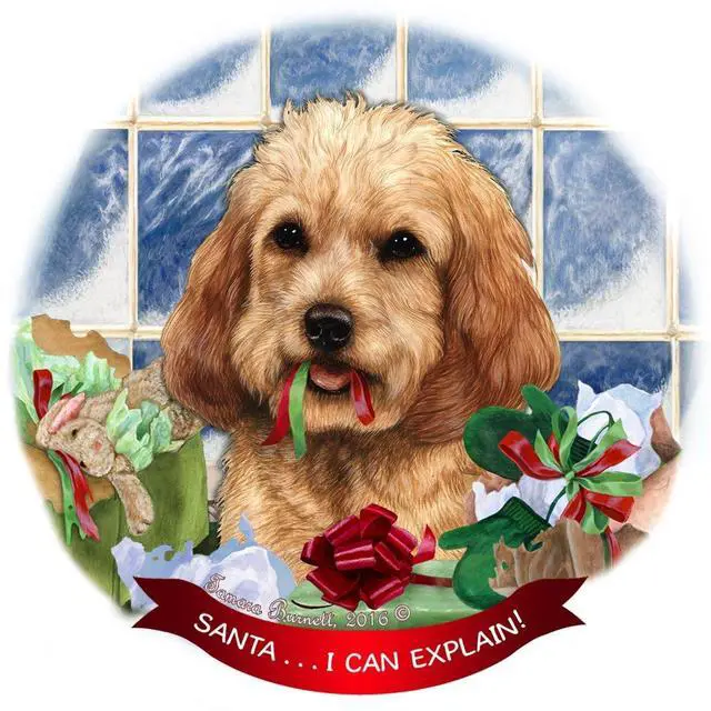 Main image of Cockapoo, Blonde Dog Porcelain Hanging Ornament Pet Gift Santa I Can Explain!