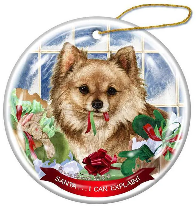 Main image of Fawn Longhaired Chihuahua Dog Porcelain Ornament 'Santa.. I Can Explain!'