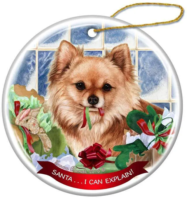 Main image of Red Longhaired Chihuahua Dog Porcelain Ornament 'Santa.. I Can Explain!