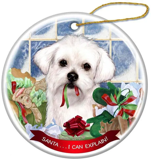 Main image of Maltese Dog Porcelain Hanging Ornament Pet Gift 'Santa.. I Can Explain!'