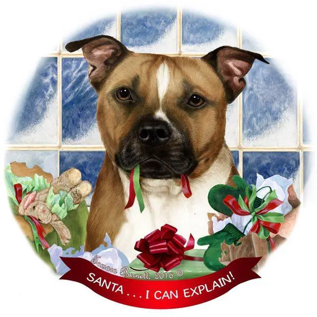 Main image of Pit Bull, Brown & White Dog Porcelain Ornament 'Santa.. I Can Explain!'