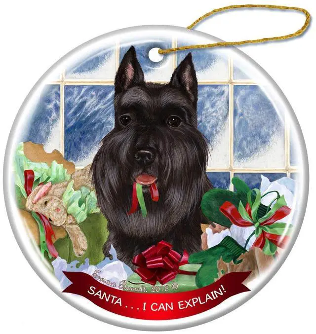 Main image of Black Cropped Schnauzer Dog Porcelain Ornament Pet Gift 'Santa.. I Can Explain!