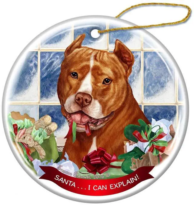 Main image of Orange and White Pit Bull Cropped Porcelain Ornament 'Santa.. I Can Explain!