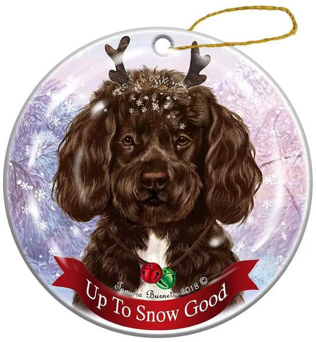 Main image of Holiday Pet Gifts Portuguese Water Chocolate Dog Porcelain Christmas Ornament