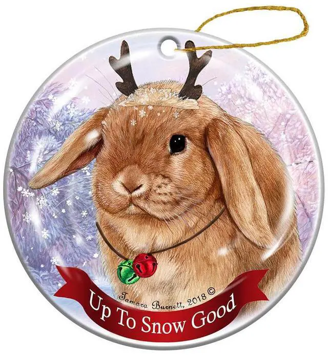 Main image of Holiday Pet Gifts Mini Lop Rabbit Porcelain Christmas Ornament