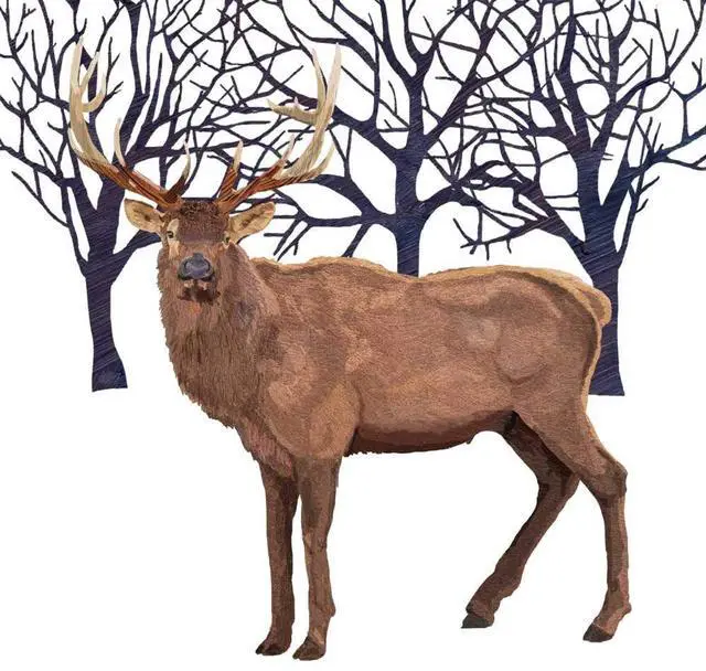 Main image of Paperproducts Design 3252941 Winter Elk Beverage Napkin, 5" x 5", Multicolor