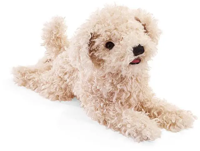 Main image of Folkmanis White Poodle Puppy Hand Puppet, 20"