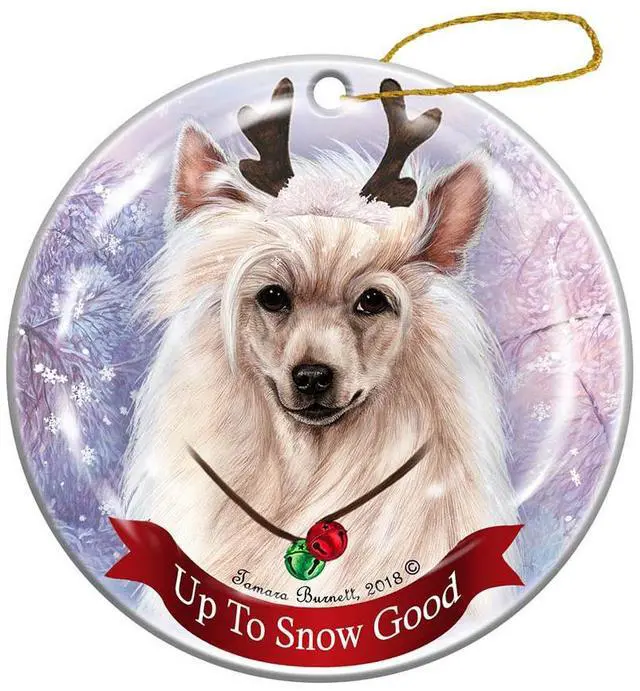 Main image of Holiday Pet Gifts Chinese Crested Powder Puff Dog Porcelain Christmas Ornament
